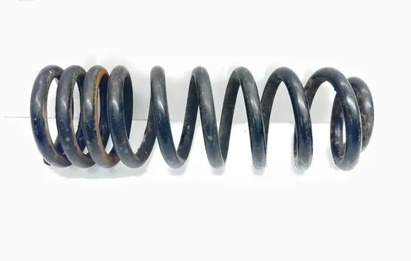 Rear coil spring