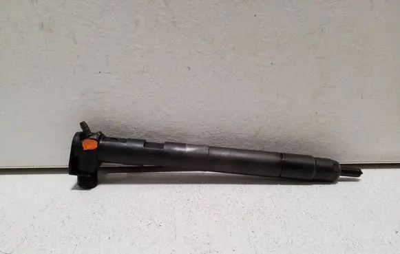 Chevrolet Captiva Fuel injector 28264951 25183186