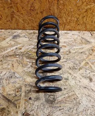 Rear coil spring
