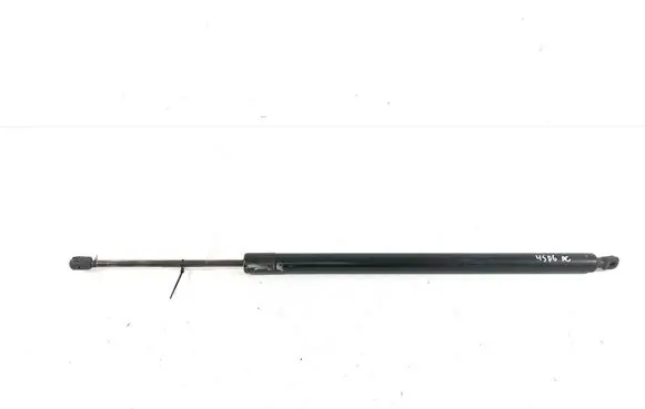 Tailgate strut