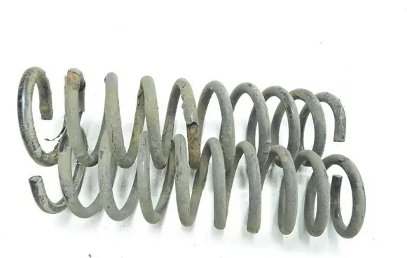 Rear coil spring