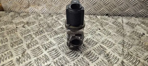 Opel Vectra C EGR valve 50024005