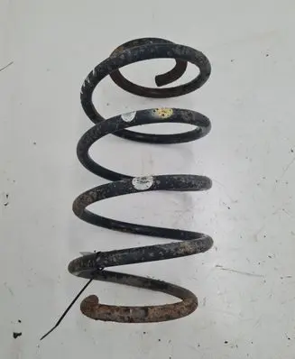 Front coil spring