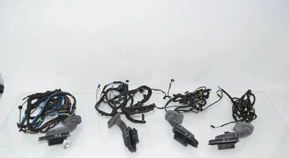 BMW 5 F10 F11 Front door wiring loom 9255986 9256002 9256017