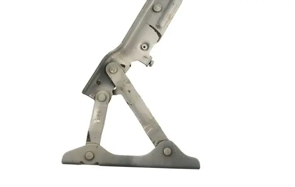 Tesla Model S Engine bonnet/hood hinges 600673700E