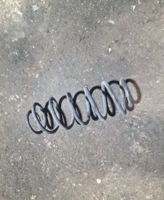 Rear coil spring