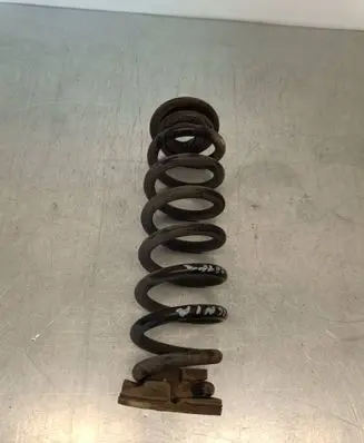Opel Insignia B Rear coil spring 