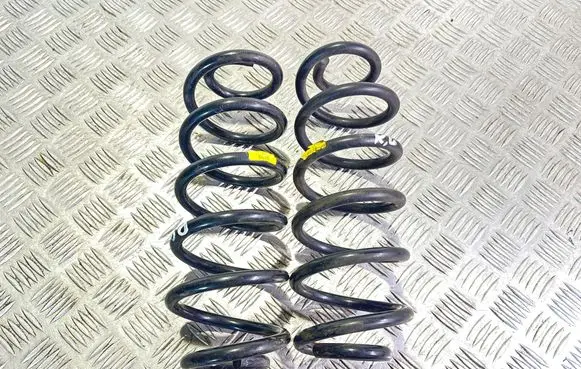 Rear coil spring