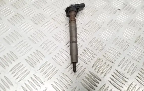Hyundai Santa Fe Fuel injector 338002F000