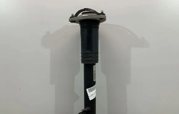 BMW X6 E71 Rear shock absorber/damper 6788512