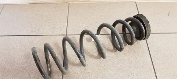 Rear coil spring