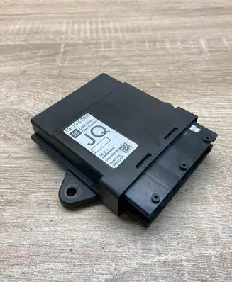 Opel Vectra C Other control units/modules 13193368 5WK46001H