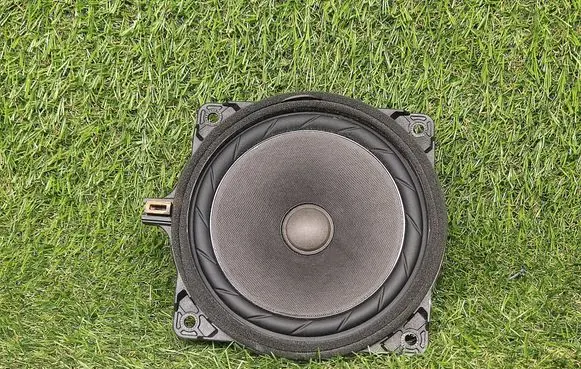 Front door speaker