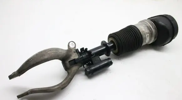 Land Rover Range Rover Sport L461 Air suspension front shock absorber N9X23C285BD
