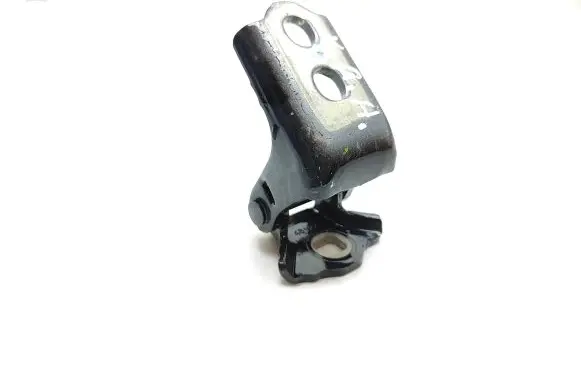 Renault Clio V Rear door lower hinge