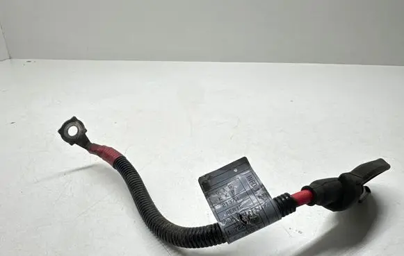 BMW 3 E46 Wires (generator/alternator) 1722094 2245540