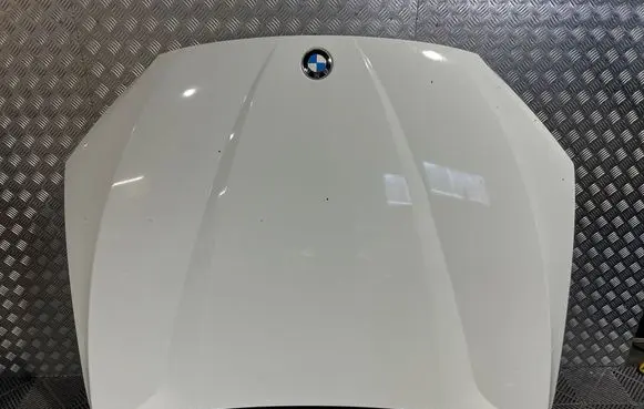 BMW X1 E84 Engine bonnet/hood 9231859