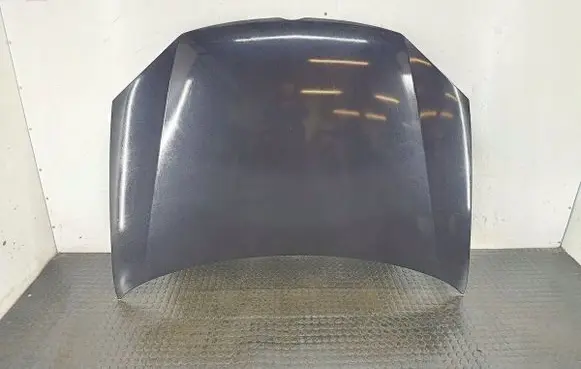 Volkswagen Golf V Engine bonnet/hood LC9Z