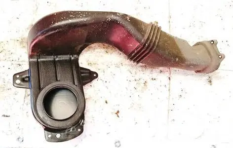 Renault Zoe Air intake hose/pipe 295549143r