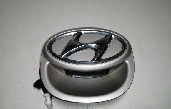 Tailgate opening switch
