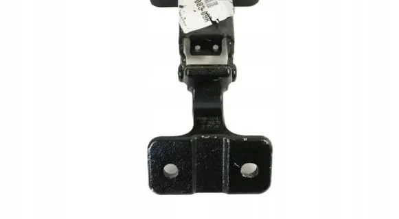 Renault Kangoo II Loading door hinge set 904008309R