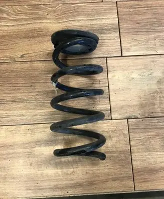 Rear coil spring