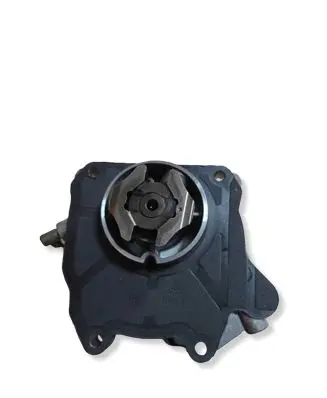 Opel Insignia A Vacuum pump 55205446 729023030 12T145Z2