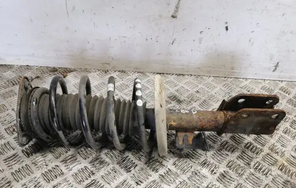 Citroen C4 II Picasso Front shock absorber/damper