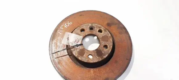 Ford Galaxy Front brake disc ventiliuojamas