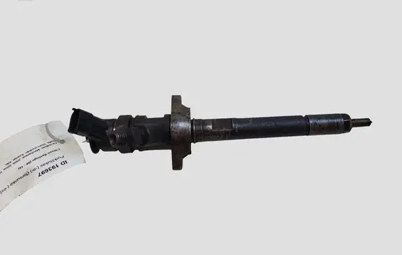 Citroen Berlingo Fuel injector 0445110311