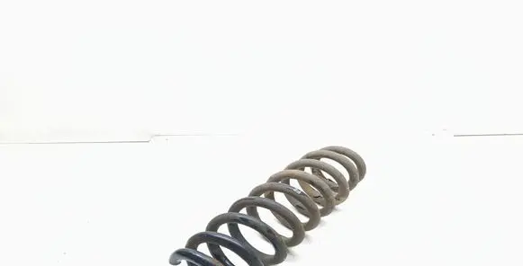Rear coil spring
