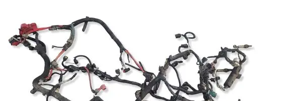 Ford Mustang V Engine installation wiring loom 
