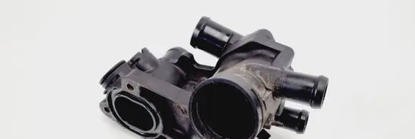 Thermostat/thermostat housing