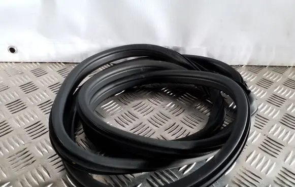 Nissan Juke I F15 Front door rubber seal