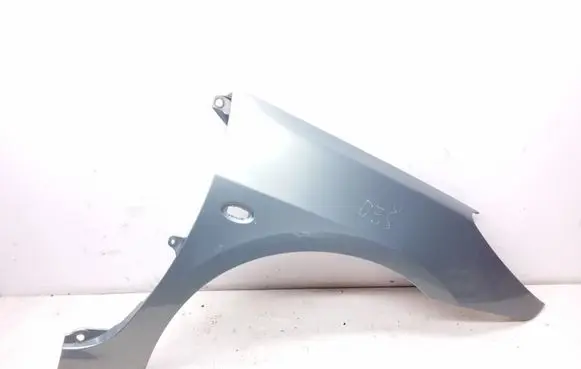 Peugeot 307 Fender