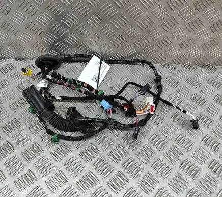 Volkswagen Arteon Front door wiring loom 3B4971120BB