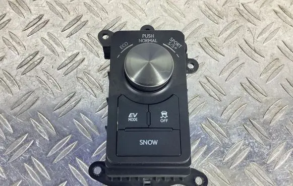 Multifunctional control switch/knob