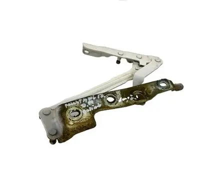 Ford Mustang V Tailgate/trunk/boot hinge 003N2AE816K