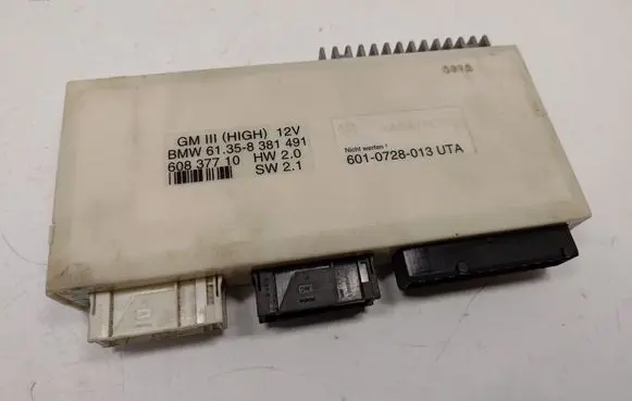 BMW 5 E39 Central body control module 61358381491
