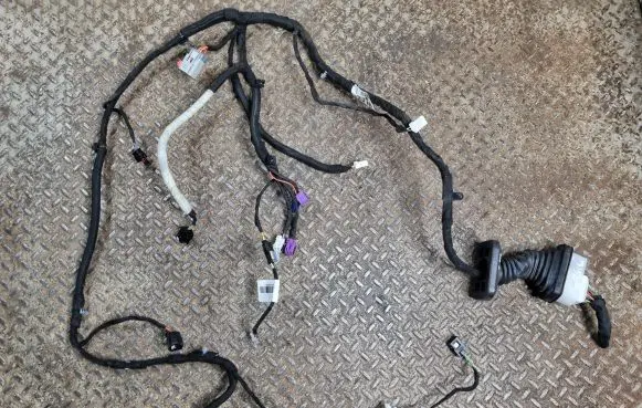 Front door wiring loom