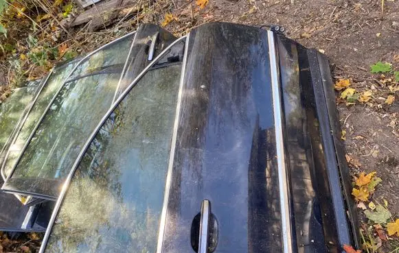 Volkswagen Phaeton Front door