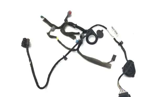 Rear door wiring loom