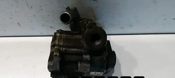 Fiat Bravo Power steering pump 7691955200