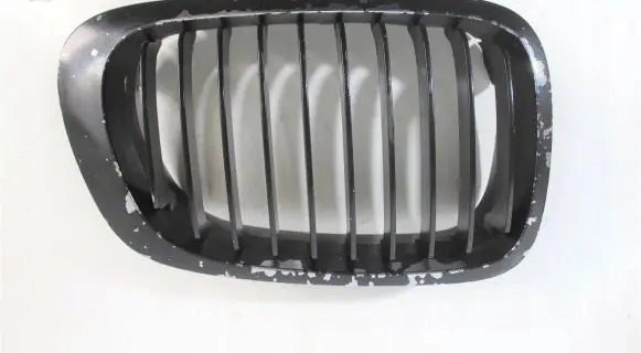 BMW 1 E81 E87 Front grill 8208668