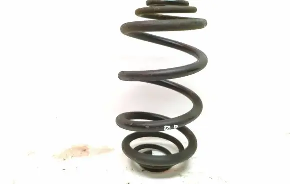 Renault Trafic III (X82) Rear coil spring