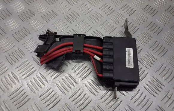Renault Megane III Positive wiring loom 243170003R