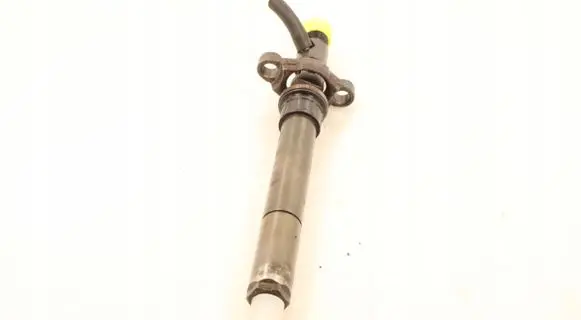 Citroen C5 Fuel injector EJBR06001D