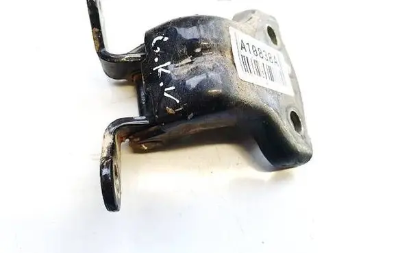 Rear door lower hinge