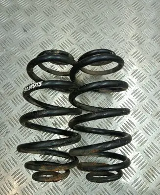 Rear coil spring