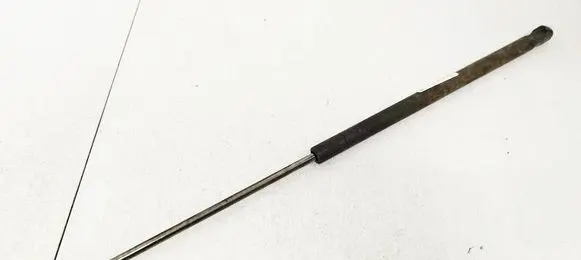 Ford Focus C-MAX Front bonnet/hood damper/strut